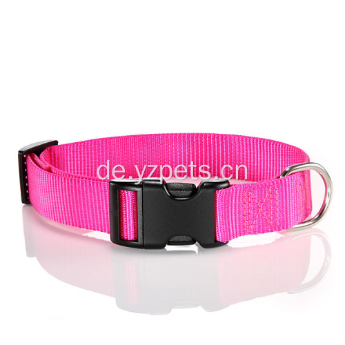 Buntes Nylon Hundehalsband